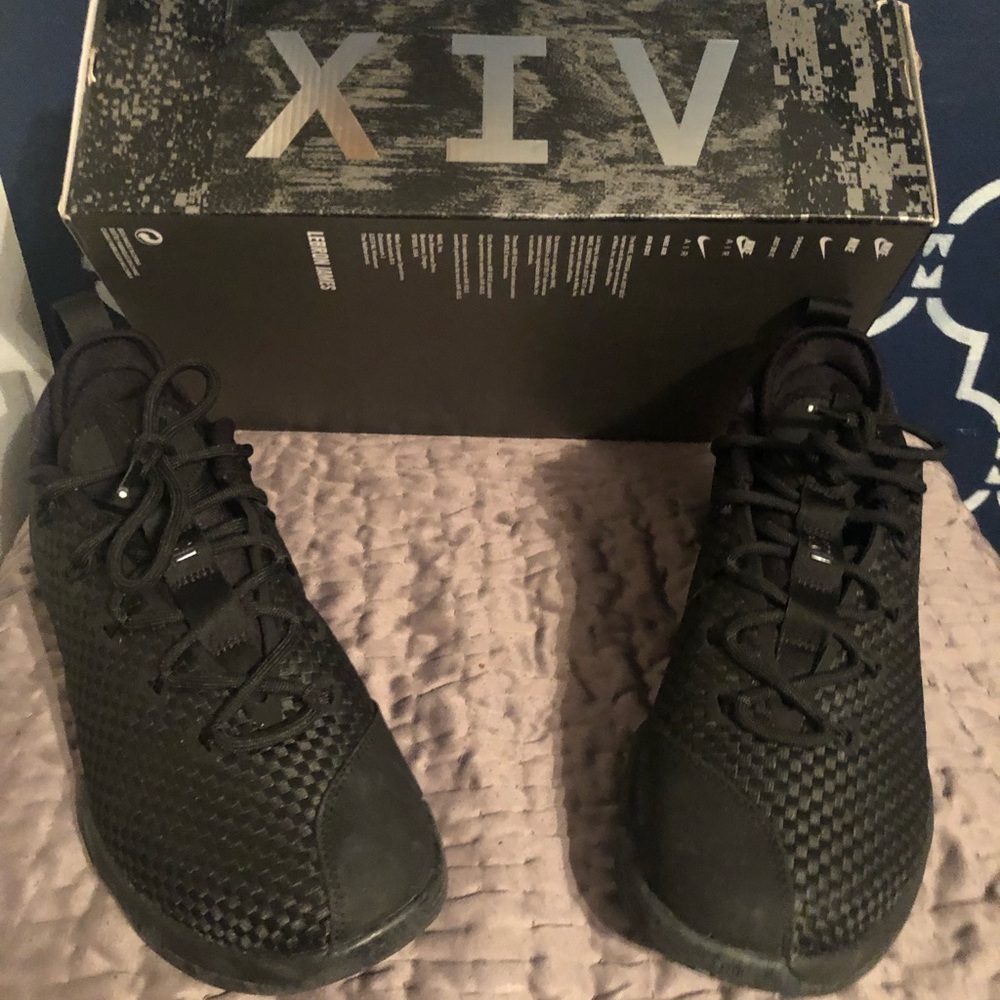 Lebron XIV Low